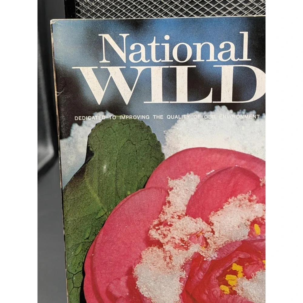 1972 March National Wildlife Magazine Ghost Crab Walks The Beach‎